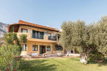 Ledra - 18