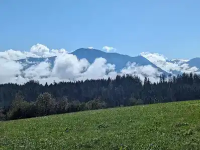 Bergstätter Hof - 29