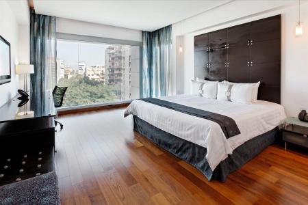 Holiday Inn Santo Domingo & Suites, An Ihg - 102