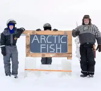 Arctic Fox Igloos - 39