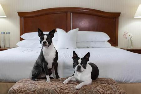 Rogue Regency Inn & Suites - 43