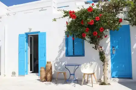 Madalena - 57