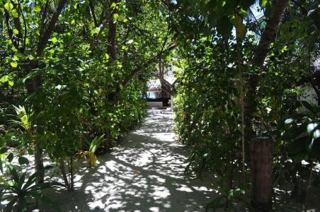 Makunudu Island - 16
