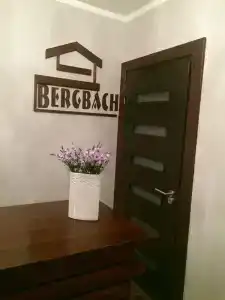 Bergbach - 15