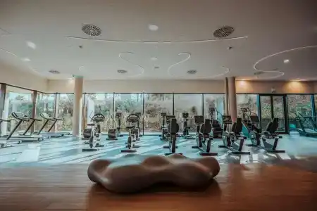 Higueron Malaga, Curio Collection by Hilton - 20