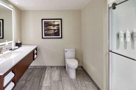 Embassy Suites by Hilton Nashville - 9