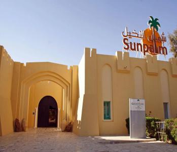 Sun Palm - 12