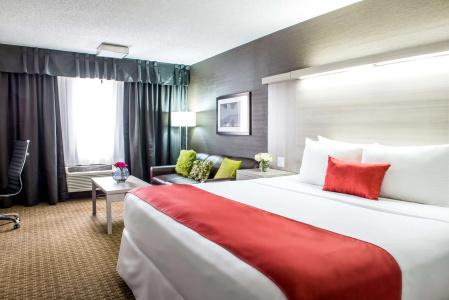 Best Western Plus Village Park Inn - 59