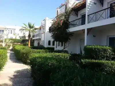 Logaina Sharm Resort - 0