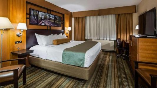 Best Western Gold Coast - 39