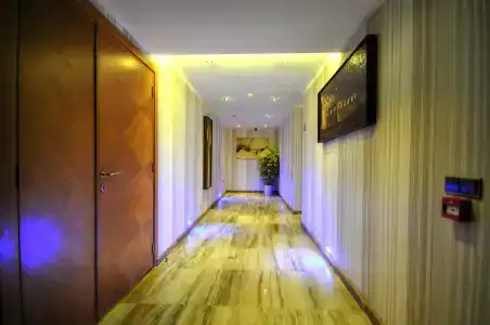 Golden Deluxe - 14
