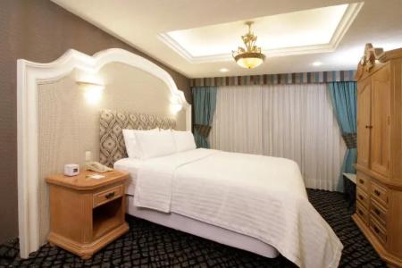 Holiday Inn Queretaro Centro Historico, An Ihg - 129