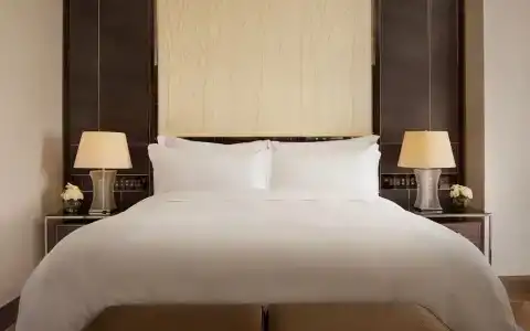 The Ritz-Carlton, Astana - 74