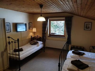 Pension Dachsteinhof - 12