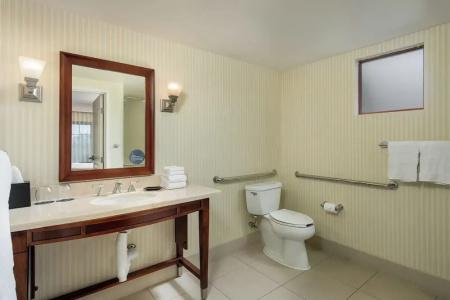 Sheraton Carlsbad Resort & Spa - 64