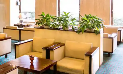 Yatsushiro Grand - 4