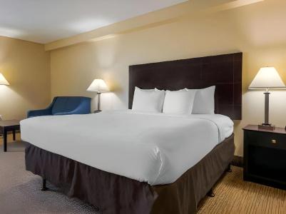 Comfort Inn International Drive - 3