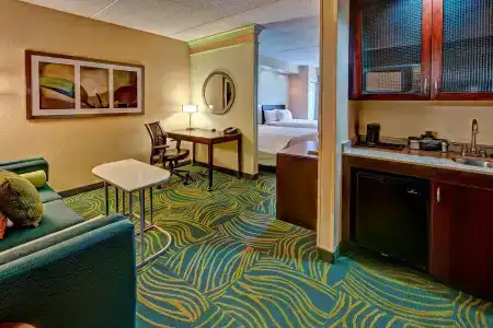 SpringHill Suites Old Dominion University - 39