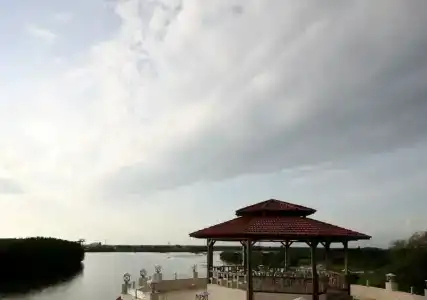 Palm Beach - 12