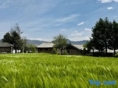 Xuema Yulong - 21