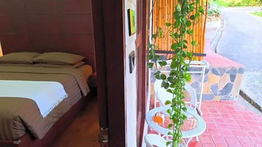 Alpha Gay Resort & Spa - 149