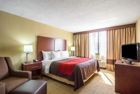 Comfort Inn Downtown - 25