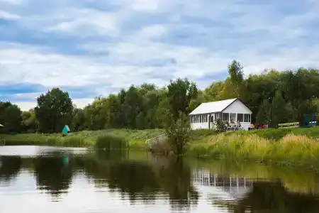 Подсолнухи - 9