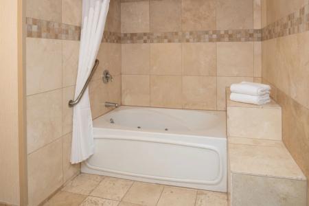 Holiday Inn - Portland - Columbia Riverfront, an IHG - 99
