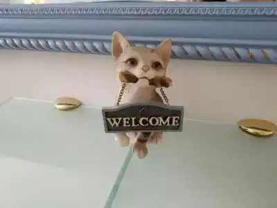 Il Gatto - 32