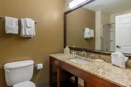 Comfort Suites - 28