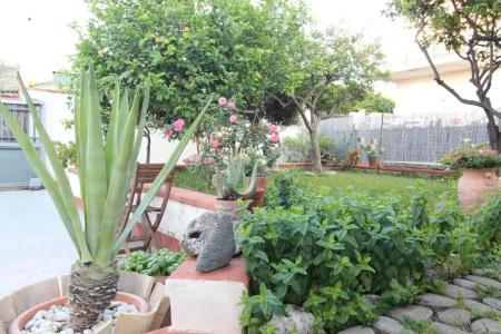 b&b San Leone - 56