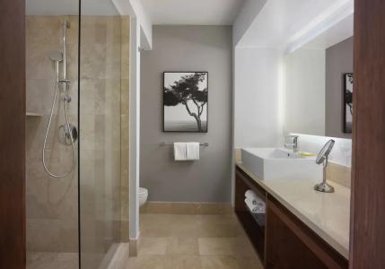 Hyatt Regency and Spa - 47