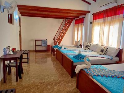 Hungry Lion Resort - 4