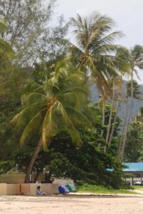 Laura Guest House Samui - 26