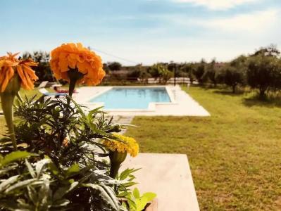 Villa Lauro Luxury b&b - 19