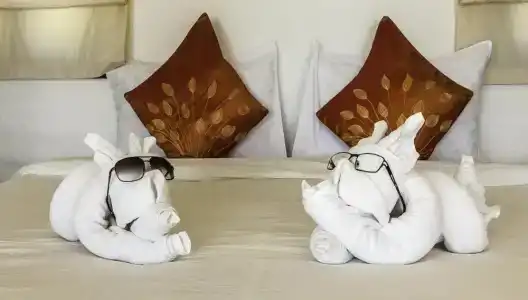 Lazy Day The - 13