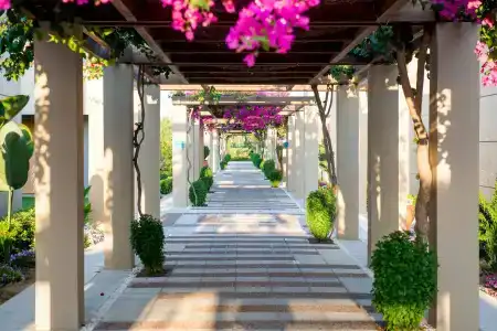 Astir Odysseus Kos Resort and Spa - 24