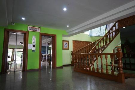 Green Palace - 12