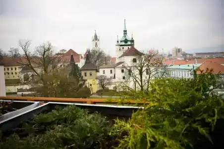 U Kozicky - 29
