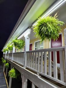 Homestead - 48