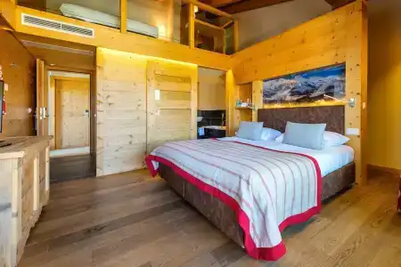 Nendaz 4 Vallées & SPA 4* Superior - 66