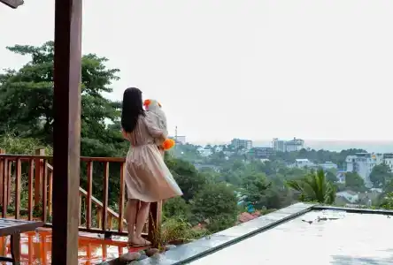 Daisy Resort - 55