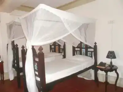 Asmini Palace - 101