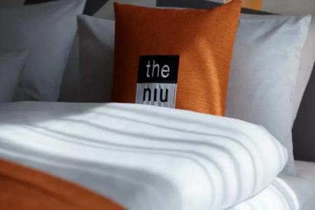 the niu Hub - 25