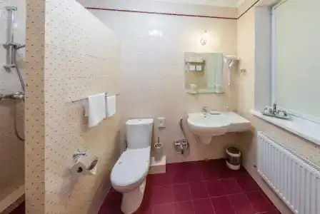 Быстрица Люкс - 6