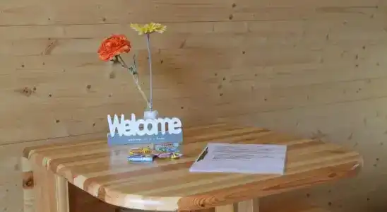 Azur Waldcamping Auwaldsee - 9