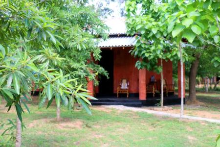 Lavish Eco Jungle - 11
