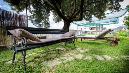 Guest House Anica - 25