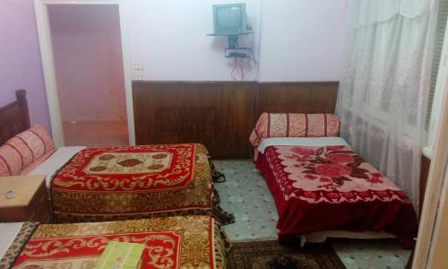 Cairo Moon Hostel - 1