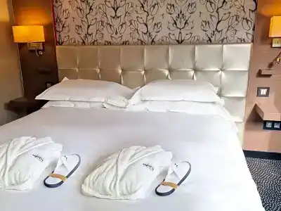 Mercure Dijon Centre Clemenceau - 99